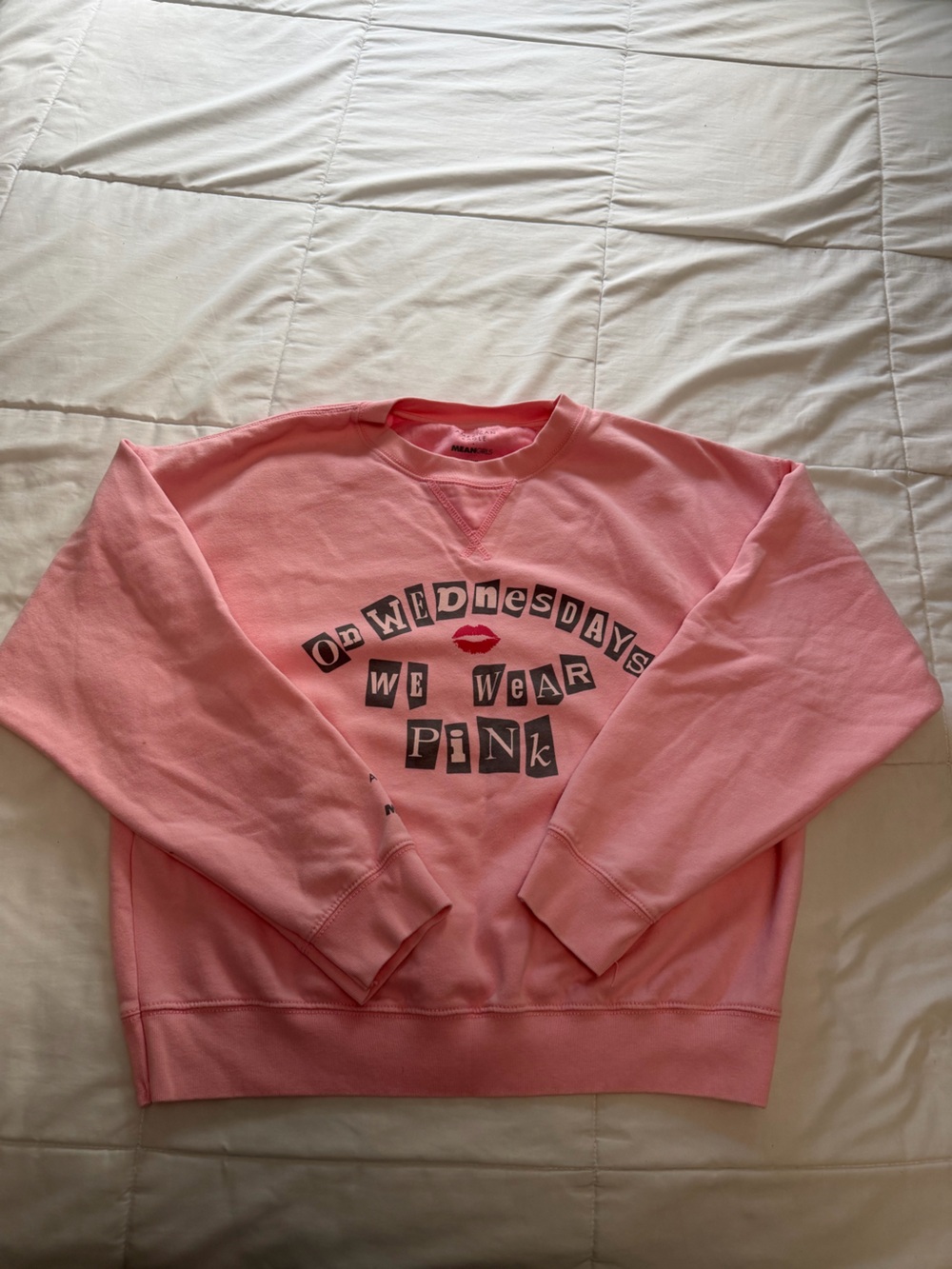 AMERICAN EAGLE MEAN GIRLS SWEATER